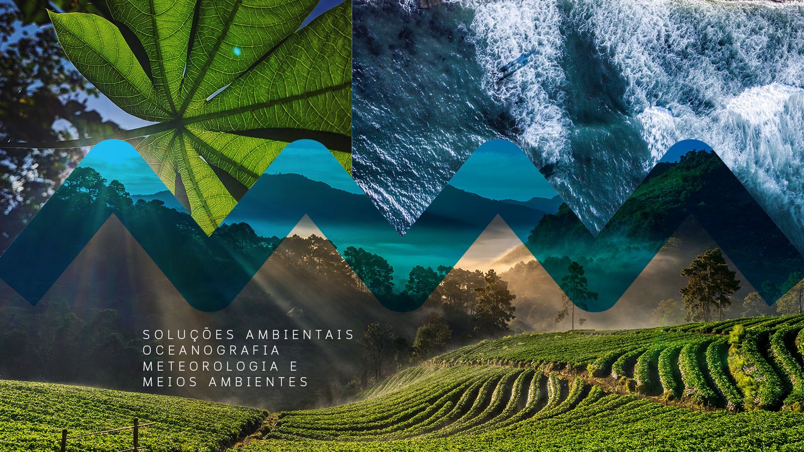 Composição com folha, ondas do oceano e paisagem agrícola, representando as áreas de atuação da Somma Ambiental: meio ambiente, oceanografia e meteorologia