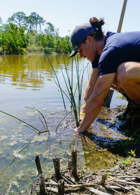 a-woman-crouches-down-to-collect-water-from-a-pond.jpg a woman crouches down to collect water from a pond